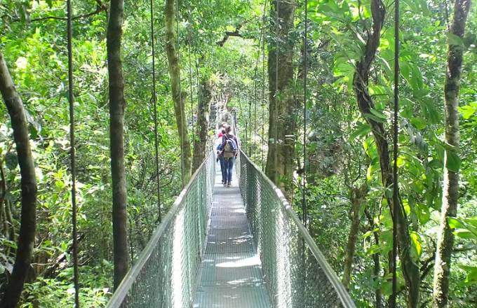 Hiking in Monteverde Cloudforest in the Hanging Bridges